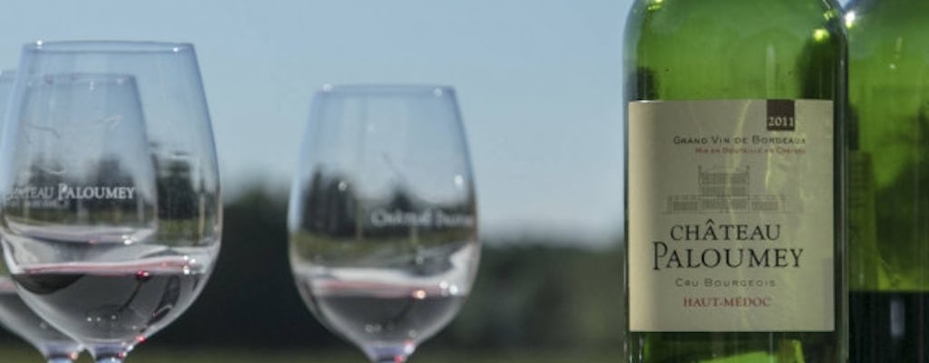 Introduzione alla degustazione di vini allo Château Paloumey