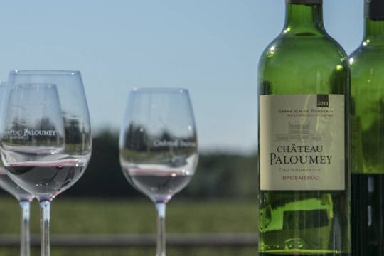 Introduzione alla degustazione di vini allo Château Paloumey
