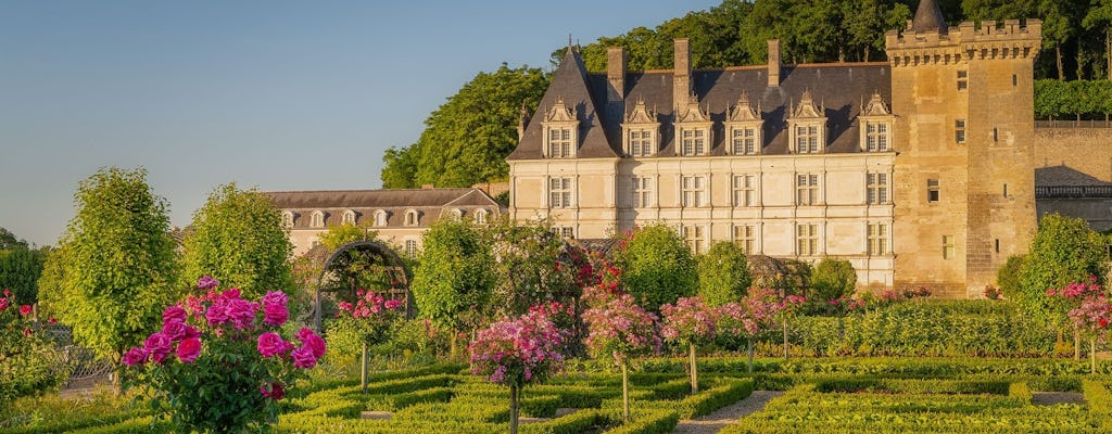 Entrance ticket to Château de Villandry and gardens