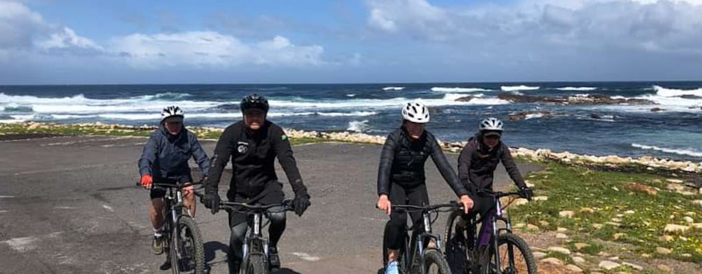E-bike tour to Cape Point National Park