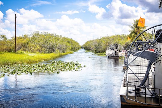 Recorrido por lo mejor de Miami con paseo en hidrodeslizador en los Everglades