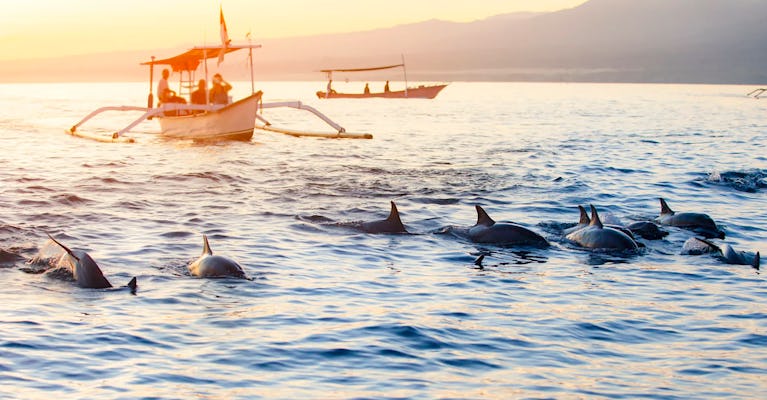 Excursão ao nascer do sol com golfinhos North Bali Lovina saindo de Ubud, incluindo visita ao Templo Ulundanu Bratan