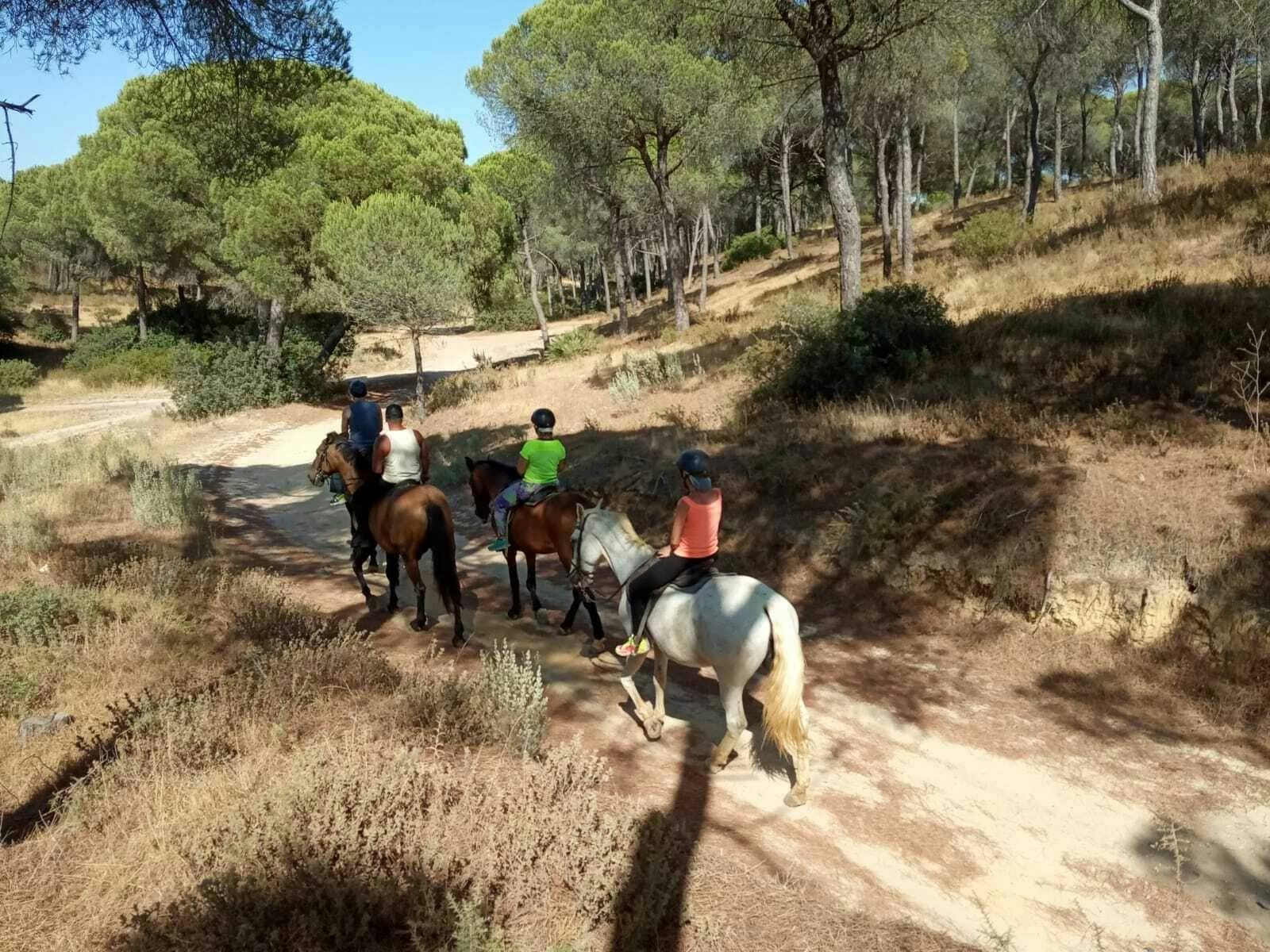 El Rompido Horse Riding