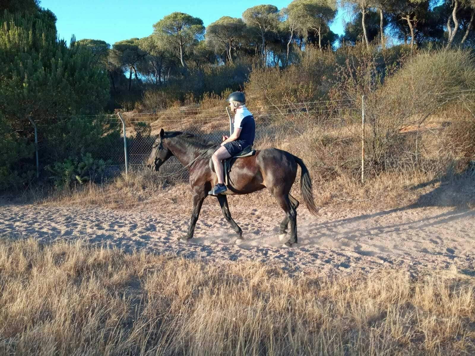 El Rompido Horse Riding