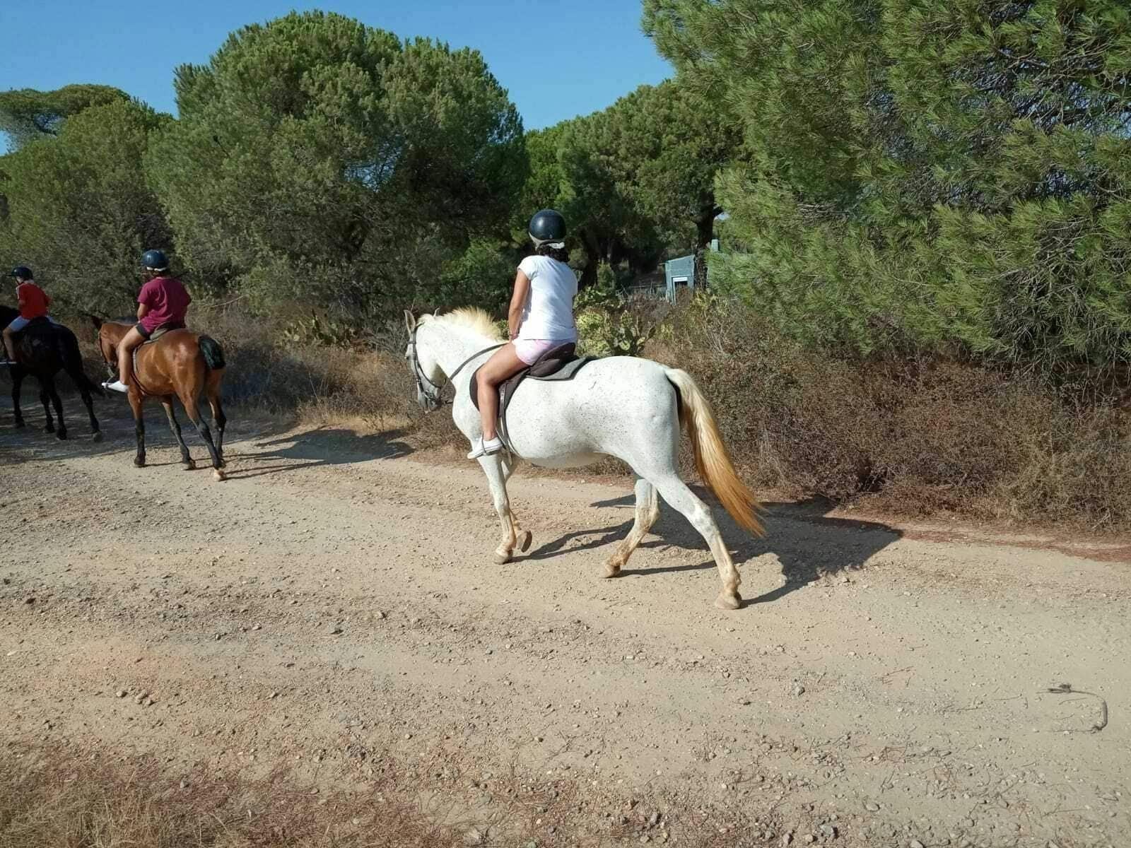 El Rompido Horse Riding