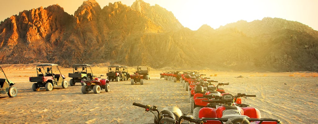 Half-day morning safari with quad tour from Jeddah