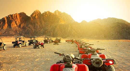 Half-day morning safari with quad tour from Jeddah