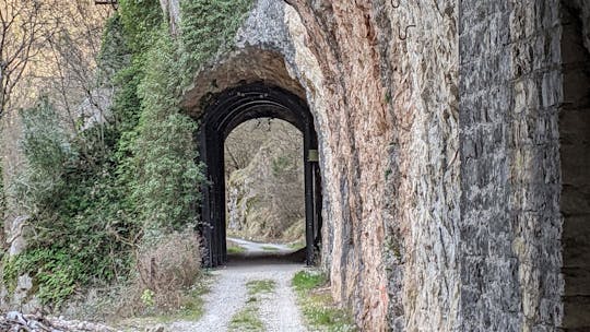 2.5-hour forgotten railway guided hiking tour for families