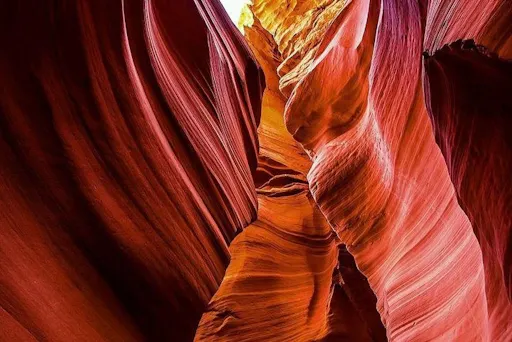 fareharbor-marvittours|272157-629616