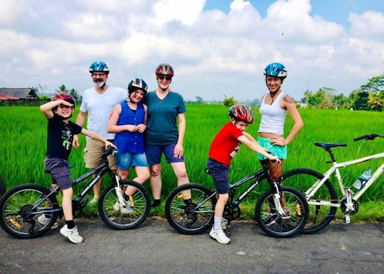 Full-day Ubud cycling and waterfall tour