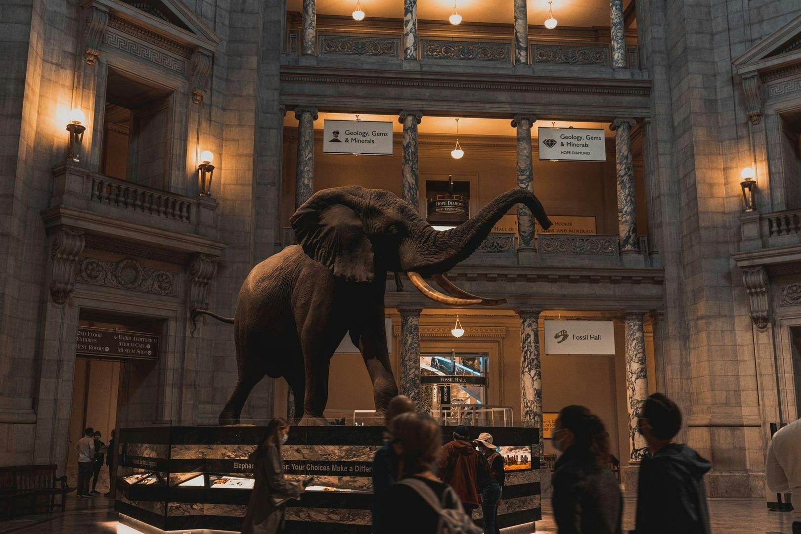 Smithsonian National Museum of Natural History self-guided audio tour