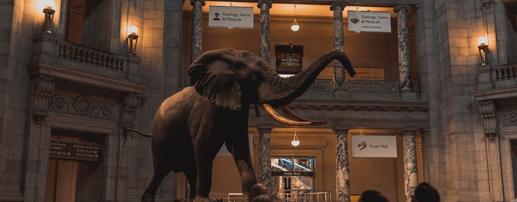 Visita de áudio autoguiada do Museu Nacional de História Natural Smithsonian