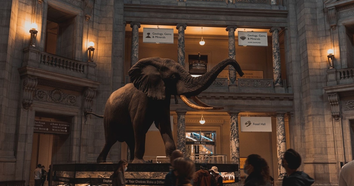 museum of natural history audio tour