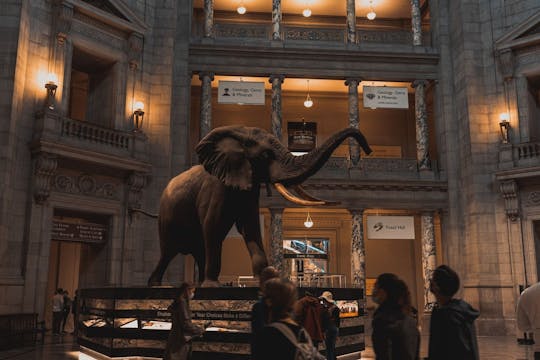 Smithsonian National Museum of Natural History zelfgeleide audiotour