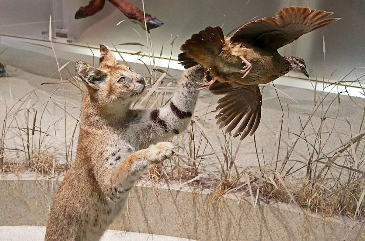 bokun-687683-4956296