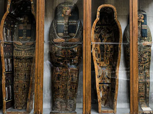 bokun-687683-4956298