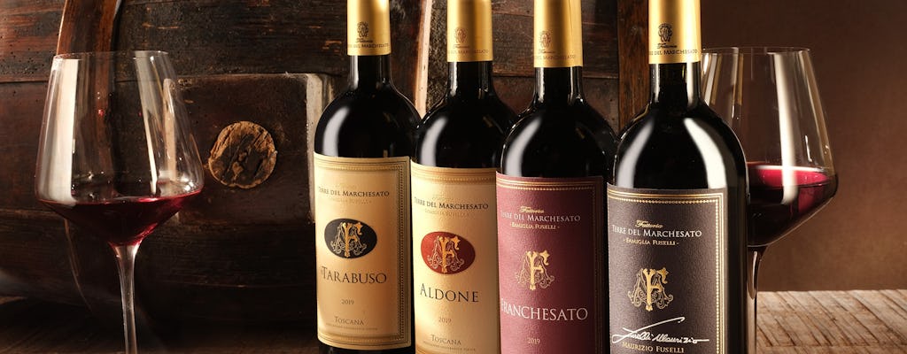 Premium wine tasting at Terre del Marchesato winery