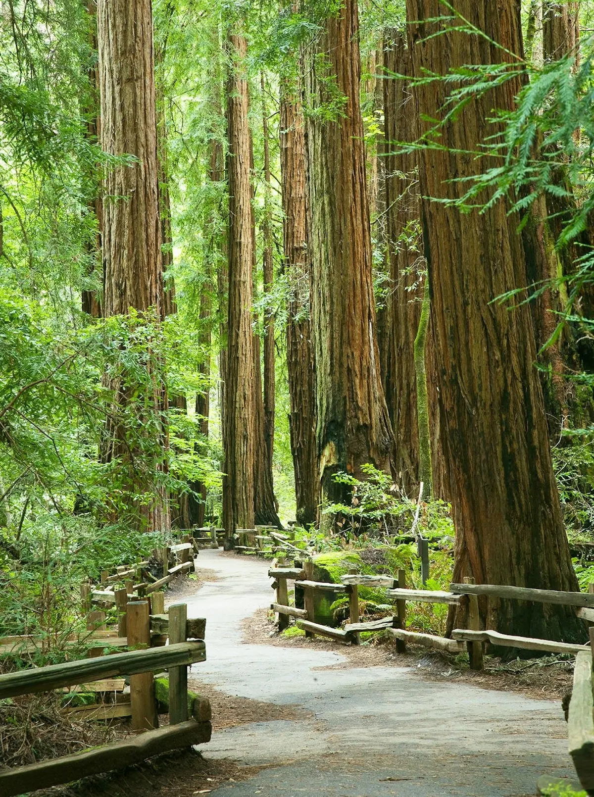 fareharbor-thetourstoreexpress|377358-748479