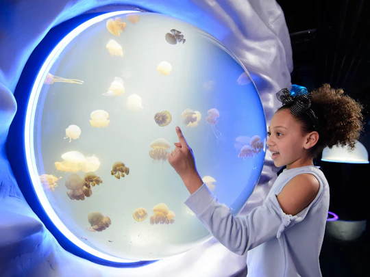 Sea Life London Aquarium tickets