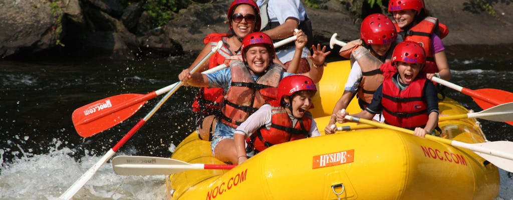 Rafting en aguas bravas de Upper Pigeon en Hartford