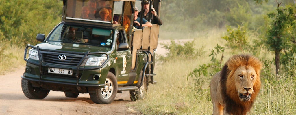 Safari privé dans l'après-midi du parc national Kruger