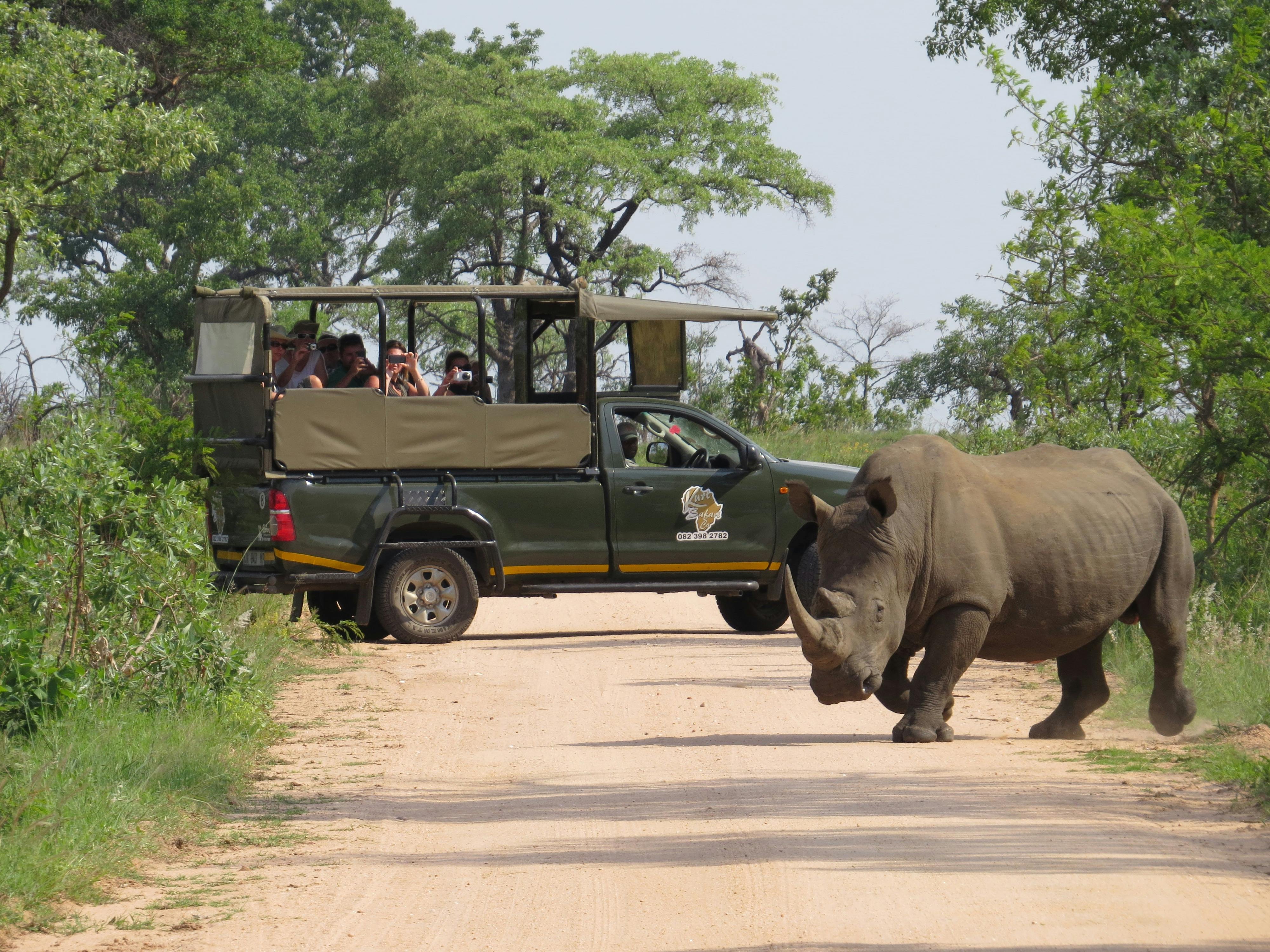 Kruger National Park ochtend privé safari