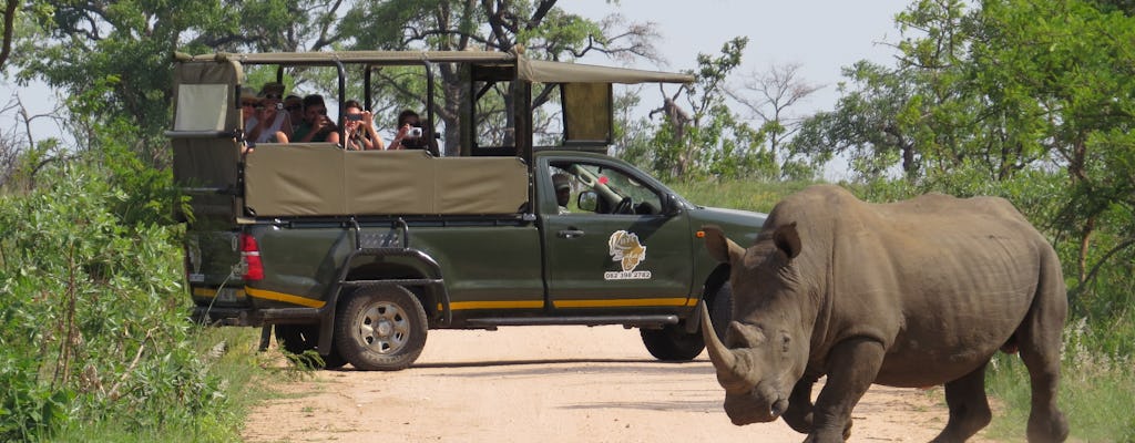 Safari privado por la mañana en el Parque Nacional Kruger