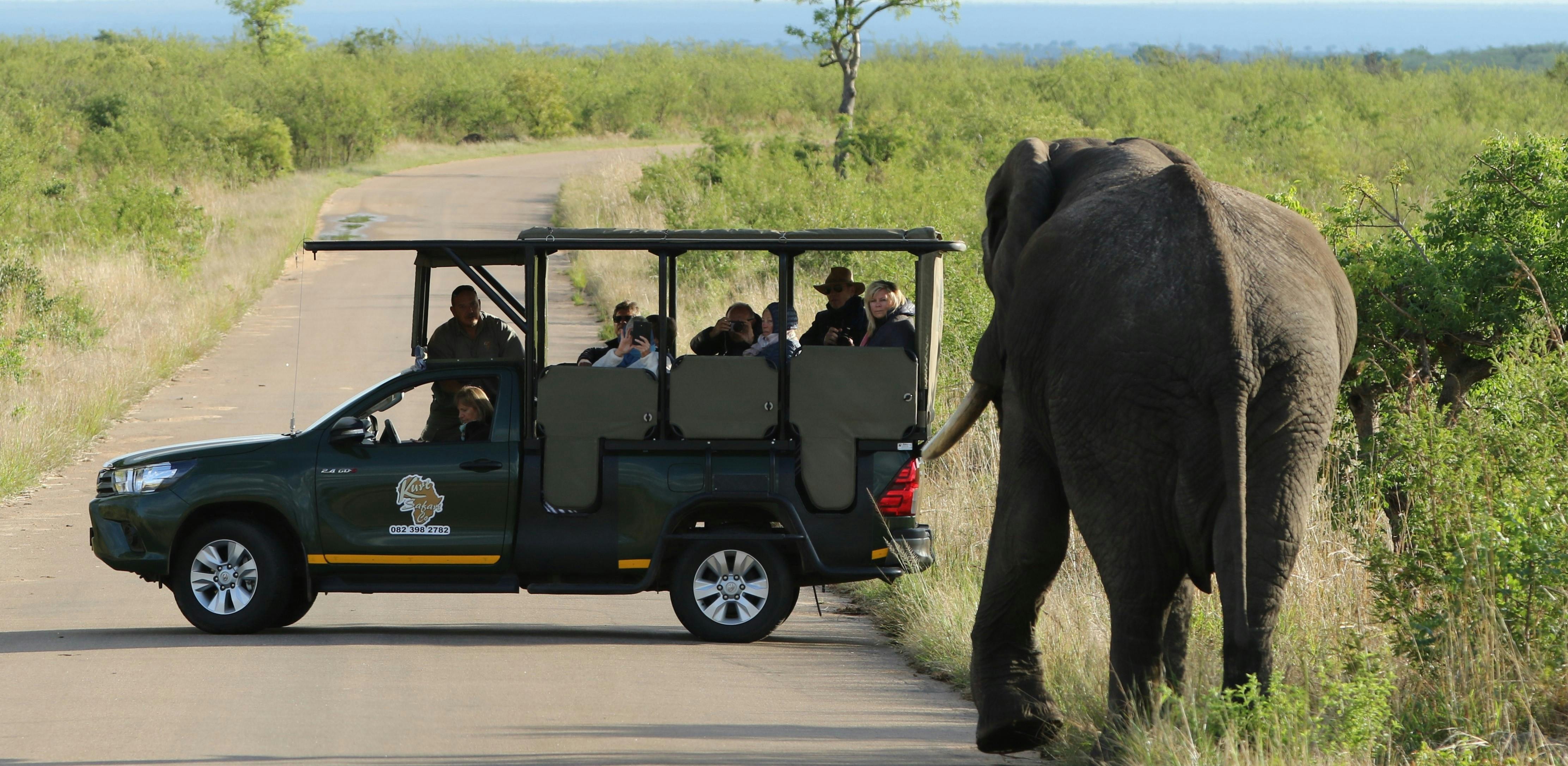 Kruger National Park full-day private safari