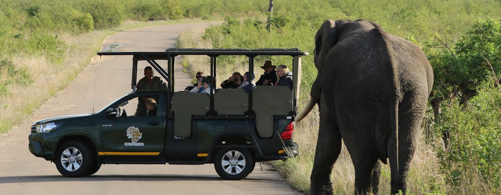 Privésafari van een hele dag Kruger National Park