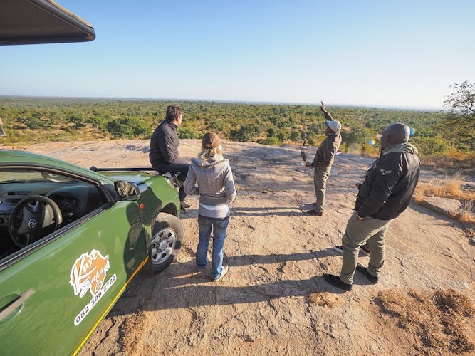 Kruger National Park full-day private safari
