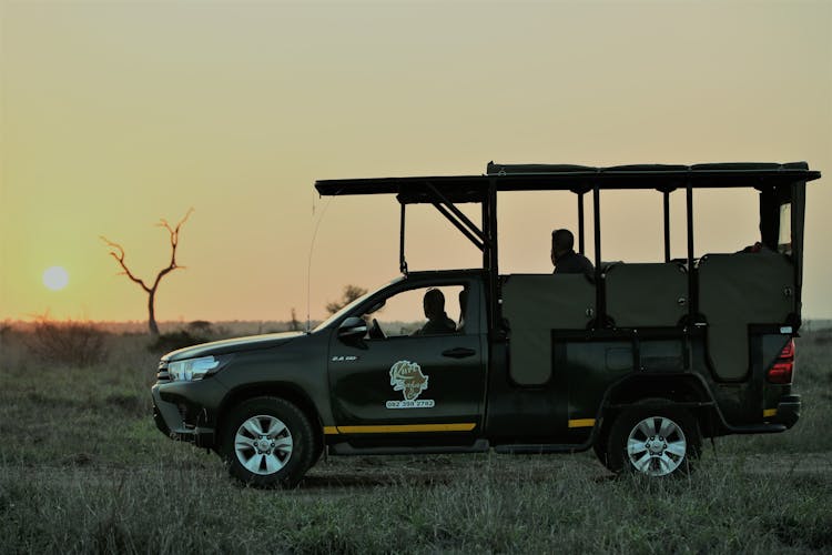 Kruger National Park full-day private safari