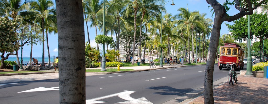 Biglietto del carrello Waikiki