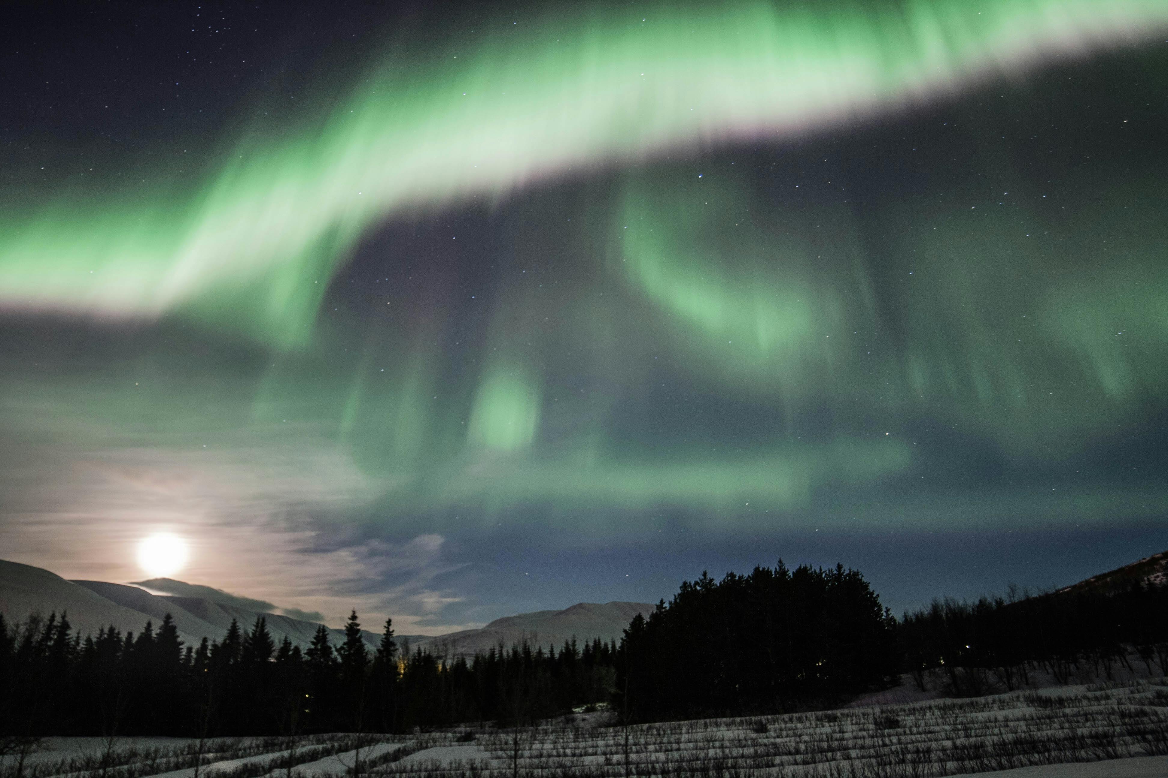 Excursão fotográfica privada de luxo da aurora boreal