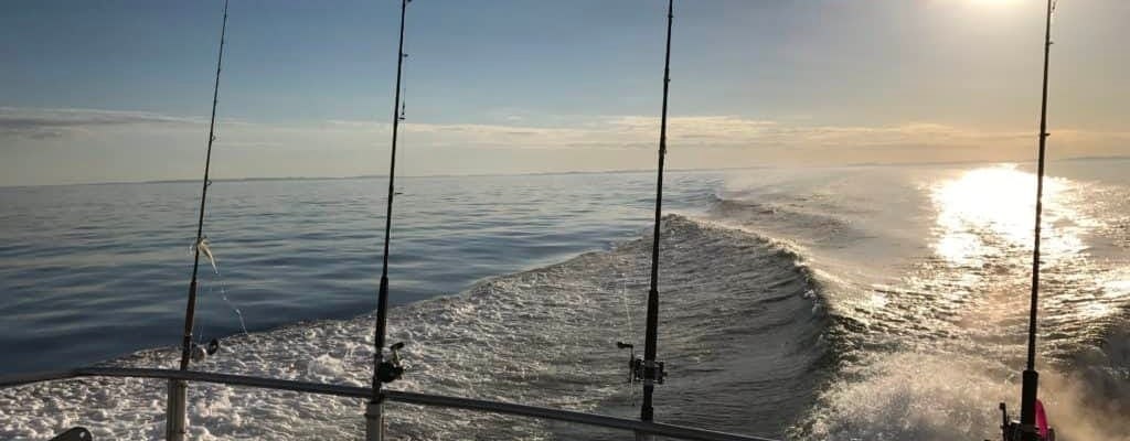 12-hour fishing trip from Gothenburg