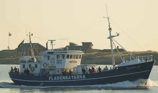 8 timers fisketur fra Varberg på Falkskär II-båden