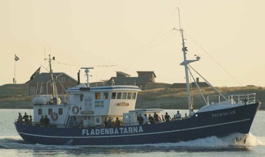 Excursão de pesca de 8 horas de Varberg no barco Falkskär II