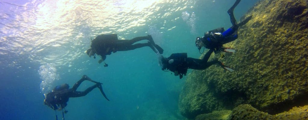 Scuba Diving Experience