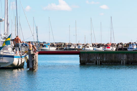 4-uur durende ochtendvistocht vanuit Varberg
