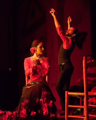 Billets d'entrée au spectacle de flamenco au Palacio Andaluz