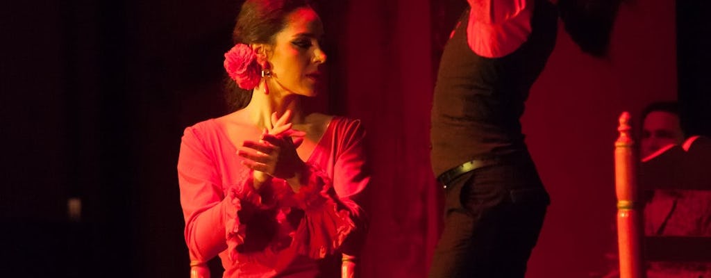 Billets d'entrée au spectacle de flamenco au Palacio Andaluz