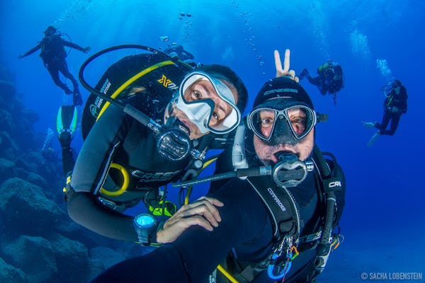 Expérience de plongée sous-marine de 3 heures à Tenerife