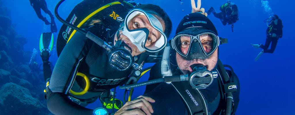 3-hour scuba diving experience in Tenerife