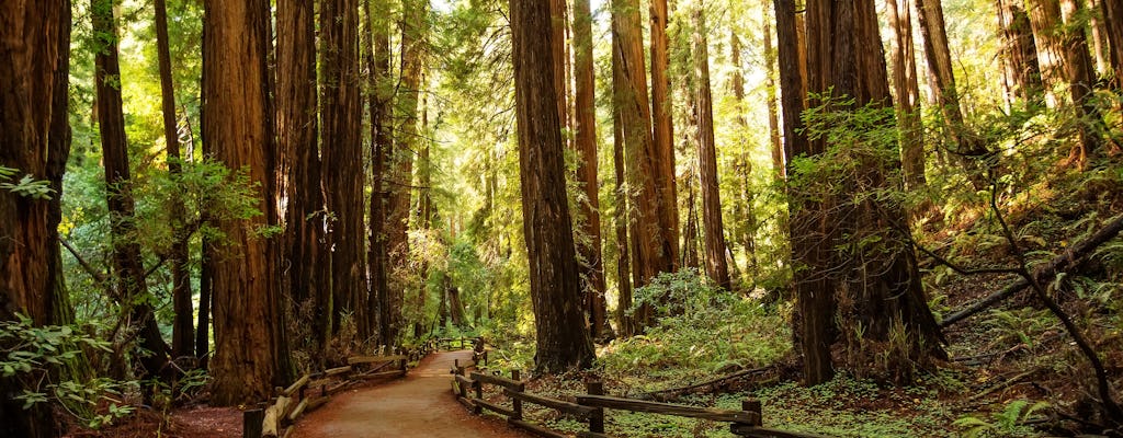 Besuch von Alcatraz, Muir Woods und der Golden Gate Bridge