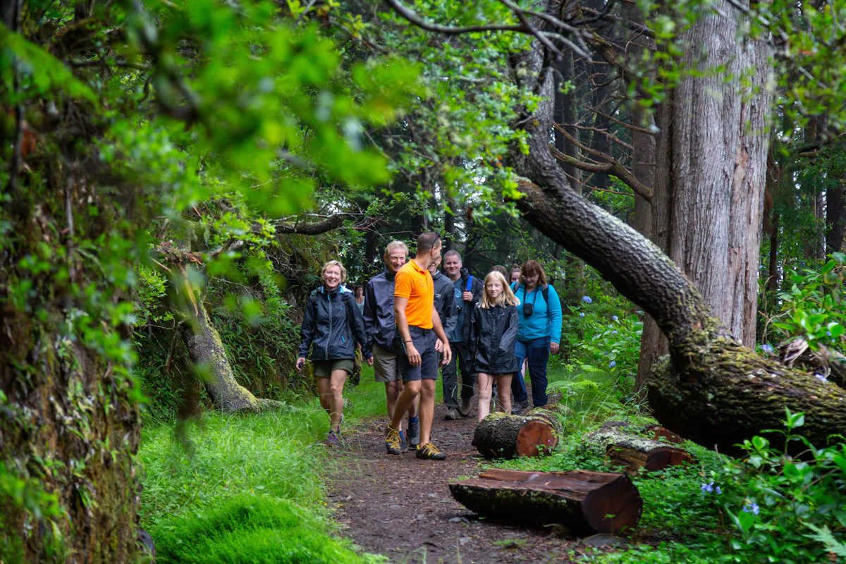 Vourliotes and Platanakia Hike