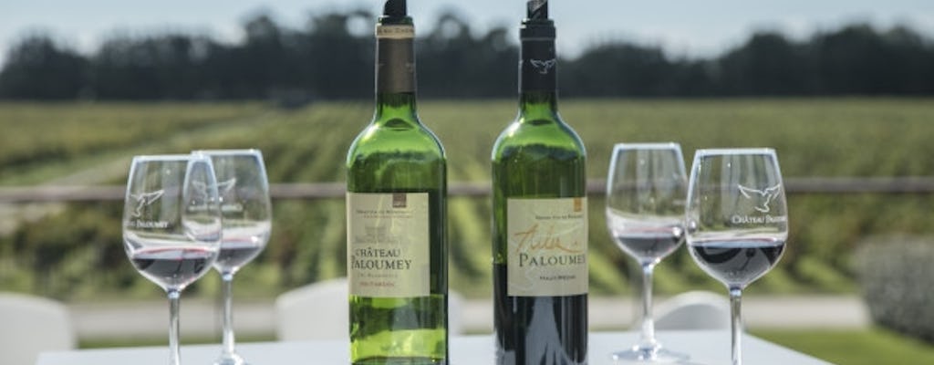 Gourmet tour and wine tasting at Château Paloumey