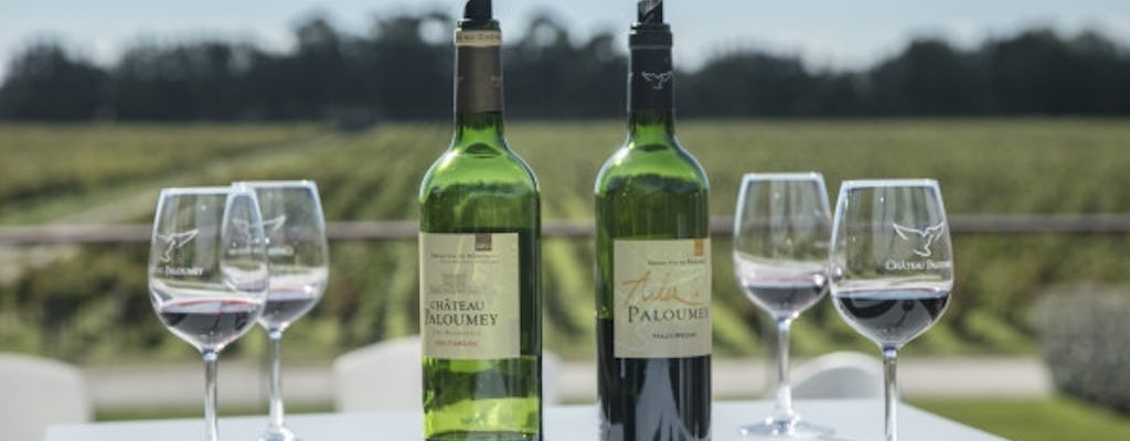 Tour gourmet y degustación de vinos en Château Paloumey