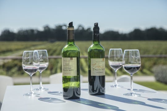 Gourmet tour and wine tasting at Château Paloumey