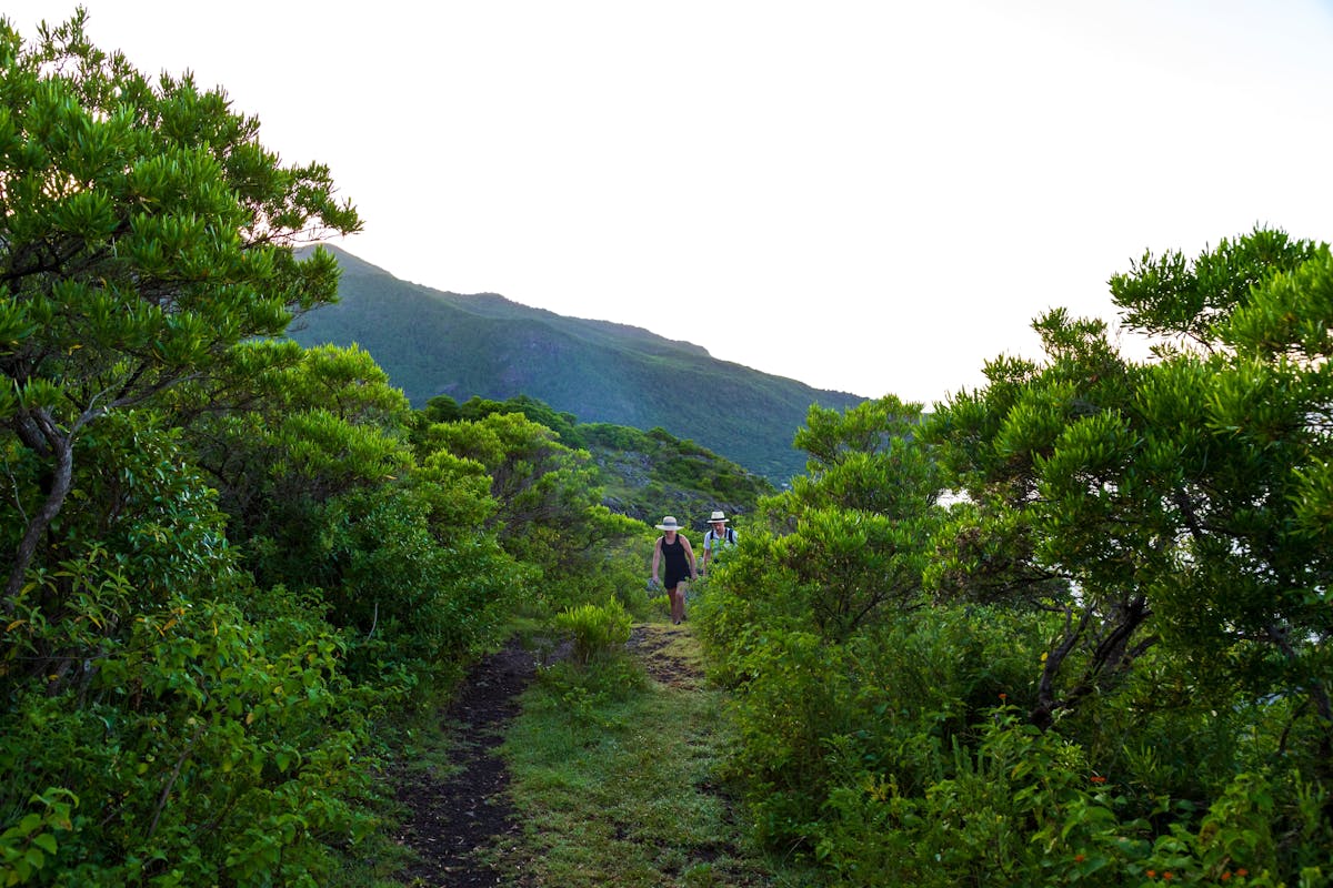 Samos Coastal Walk and Beaches