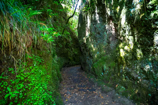 Vourliotes and Platanakia Hike