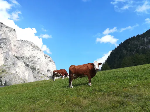 Grand Dolomites Tour to Fiemme, Fassa and Gardena Valleys